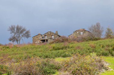 Roblelacasa 'nın taş kalpli antik köyü. Siyah mimari. Guadalajara, İspanya