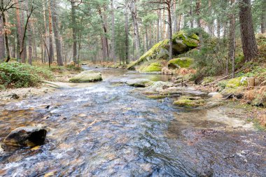 Segovia vilayetindeki Sierra de Guadarrama 'dan geçen Eresma Nehri' nin kıyısında.