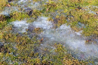 Segovia vilayetindeki Sierra de Guadarrama 'dan geçen Eresma Nehri' nin kıyısında.