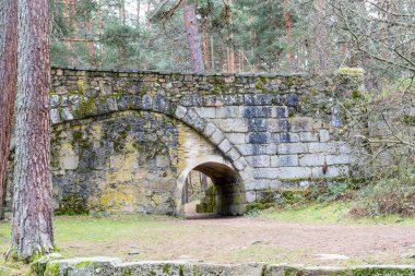 Brigde Navalacarreta, Segovia 'nın Sierra de Guadarrama bölgesinden geçen Eresma Nehri kıyıları.