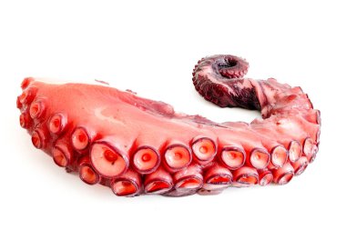 Pişmiş ahtapot dokunaçları yemeye hazır.