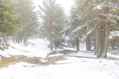 Mart 2025 kar yağışı sırasında Madrid 'deki Sierra de Guadarrama Dağları