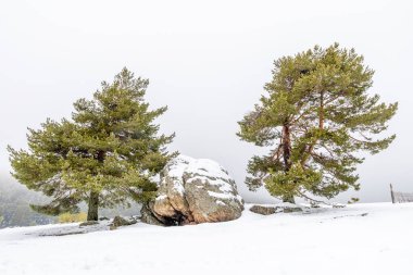 Mart 2025 kar yağışı sırasında Madrid 'deki Sierra de Guadarrama Dağları