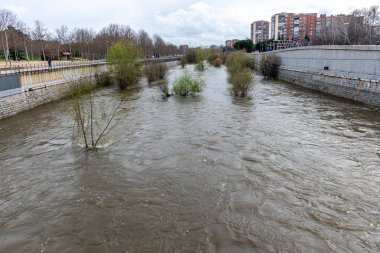 Manzanares Nehri, Madrid 'in bazı bölgelerinde Mart 2025' te yağan yağmurlar nedeniyle taşmak üzere.