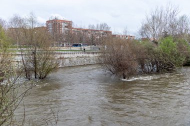 Manzanares Nehri, Madrid 'in bazı bölgelerinde Mart 2025' te yağan yağmurlar nedeniyle taşmak üzere.