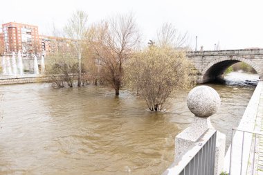 Manzanares Nehri, Madrid 'in bazı bölgelerinde Mart 2025' te yağan yağmurlar nedeniyle taşmak üzere.