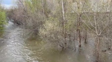 Manzanares Nehri, Madrid 'in bazı bölgelerinde Mart 2025' te yağan yağmurlar nedeniyle taşmak üzere.