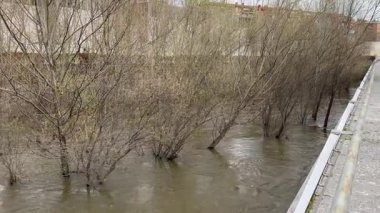 Manzanares Nehri, Madrid 'in bazı bölgelerinde Mart 2025' te yağan yağmurlar nedeniyle taşmak üzere.