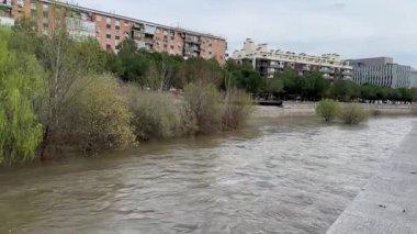 Manzanares Nehri, Madrid 'in bazı bölgelerinde Mart 2025' te yağan yağmurlar nedeniyle taşmak üzere.
