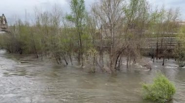 Manzanares Nehri, Madrid 'in bazı bölgelerinde Mart 2025' te yağan yağmurlar nedeniyle taşmak üzere.