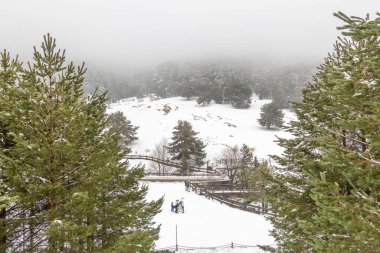 Mart 2025 'te Madrid' deki Sierra de Guadarrama dağları Cotos dağ geçidinde kar yağışı sırasında