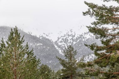Mart 2025 'te Madrid' deki Sierra de Guadarrama dağları Cotos dağ geçidinde kar yağışı sırasında