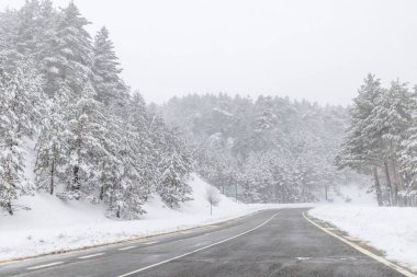 Mart 2025 'te Madrid' deki Sierra de Guadarrama dağları Navacerrada 'dan Puerto de Cotos' a giden yolda.