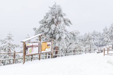 Mart 2025 'te Madrid' deki Sierra de Guadarrama dağları Navacerrada 'dan Puerto de Cotos' a giden yolda.