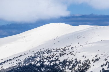 Mart 2025 'te Madrid' deki Sierra de Guadarrama dağları Navacerrada 'dan Puerto de Cotos' a giden yolda.
