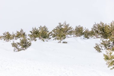 Mart 2025 'te Madrid' deki Sierra de Guadarrama dağları Navacerrada 'dan Puerto de Cotos' a giden yolda.