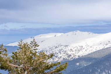 Mart 2025 'te Madrid' deki Sierra de Guadarrama dağları Navacerrada 'dan Puerto de Cotos' a giden yolda.