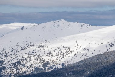 Mart 2025 'te Madrid' deki Sierra de Guadarrama dağları Navacerrada 'dan Puerto de Cotos' a giden yolda.