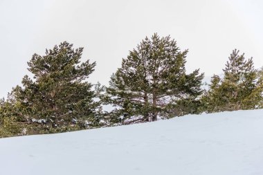 Mart 2025 'te Madrid' deki Sierra de Guadarrama dağları Navacerrada 'dan Puerto de Cotos' a giden yolda.