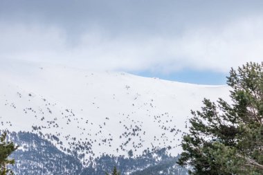 Mart 2025 'te Madrid' deki Sierra de Guadarrama dağları Navacerrada 'dan Puerto de Cotos' a giden yolda.