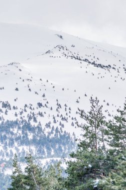 Mart 2025 'te Madrid' deki Sierra de Guadarrama dağları Navacerrada 'dan Puerto de Cotos' a giden yolda.