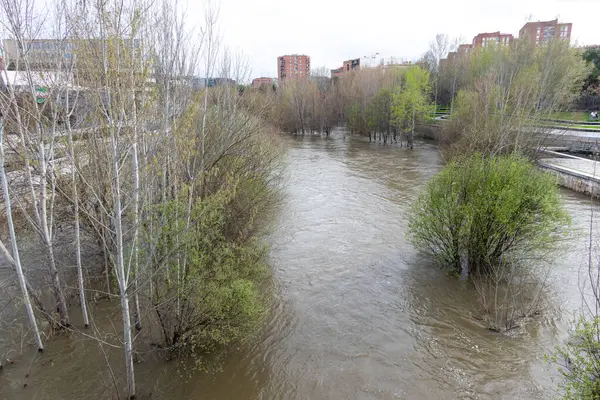 Manzanares Nehri, Madrid 'in bazı bölgelerinde Mart 2025' te yağan yağmurlar nedeniyle taşmak üzere.