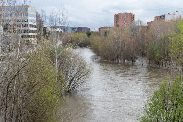 Manzanares Nehri, Madrid 'in bazı bölgelerinde Mart 2025' te yağan yağmurlar nedeniyle taşmak üzere.