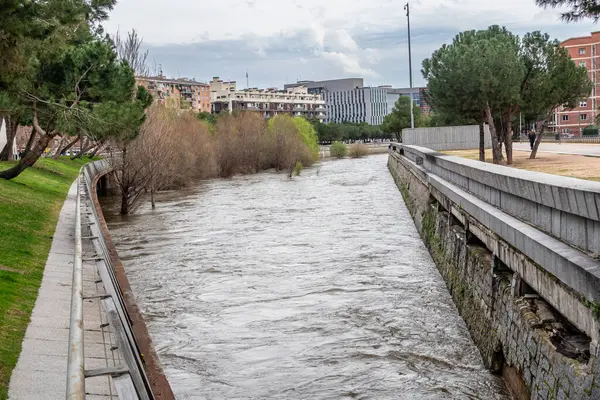 Manzanares Nehri, Madrid 'in bazı bölgelerinde Mart 2025' te yağan yağmurlar nedeniyle taşmak üzere.