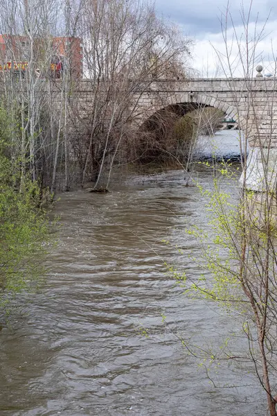 Manzanares Nehri, Madrid 'in bazı bölgelerinde Mart 2025' te yağan yağmurlar nedeniyle taşmak üzere.