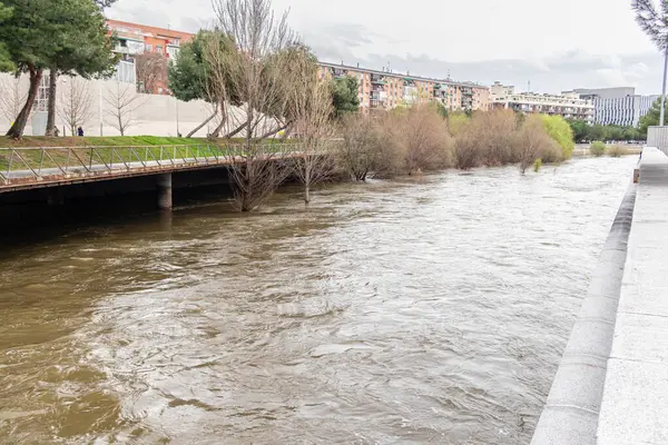 Manzanares Nehri, Madrid 'in bazı bölgelerinde Mart 2025' te yağan yağmurlar nedeniyle taşmak üzere.
