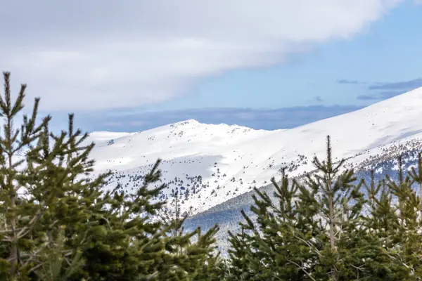 Mart 2025 'te Madrid' deki Sierra de Guadarrama dağları Navacerrada 'dan Puerto de Cotos' a giden yolda.