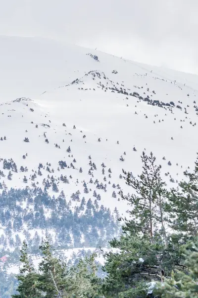 Mart 2025 'te Madrid' deki Sierra de Guadarrama dağları Navacerrada 'dan Puerto de Cotos' a giden yolda.