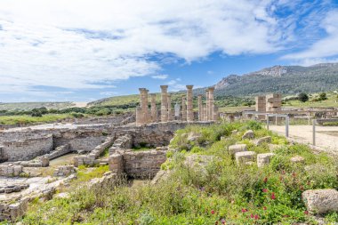 Antik Roma kenti Baelo Claudia Bolonia körfezi, Cadiz, Endülüs, İspanya 'da yer almaktadır.