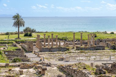 Antik Roma kenti Baelo Claudia Bolonia körfezi, Cadiz, Endülüs, İspanya 'da yer almaktadır.
