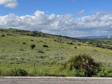 Antik Roma kenti Baelo Claudia Bolonia körfezi, Cadiz, Endülüs, İspanya 'da yer almaktadır.