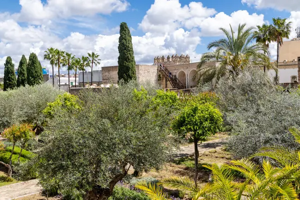 Jerez de la Frontera, İspanya - 15 Mayıs 2025: İspanya 'nın Jerez de la Frontera şehrinde Kutsal Hafta için dekore edilen tarihi merkezdeki ortaçağ evleri ve saraylarının ayrıntıları