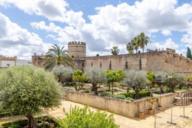 Jerez de la Frontera, İspanya - 15 Mayıs 2025: Alcazar 'ın detayları, İspanya' nın Jerez de la Frontera kentindeki tarihi merkezdeki ortaçağ sarayı
