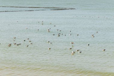Paskalya tatilinde Cadiz ilinin Chipiona kasabasında bir sahil.