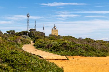 Conil de la Frontera 'daki güzel Calas de Roche plajı, Cadiz, İspanya