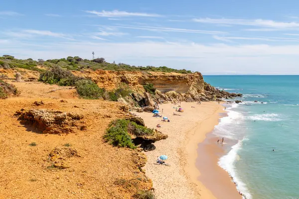 Conil de la Frontera 'daki güzel Calas de Roche plajı, Cadiz, İspanya