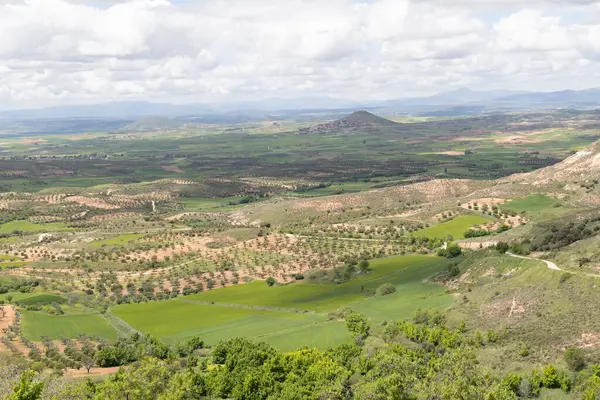 Merkezi Sistem 'e Guadalajara' daki Alcarria bakış açısından panoramik bir bakış açısı. Mançalı Kastilya. İspanya