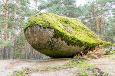 Kraliyet Balıkçılığı adı verilen yol boyunca Valsain bölgesindeki Eresma Nehri kıyısında yürüyüş rotası.