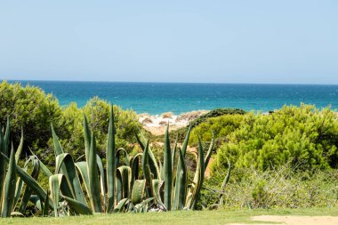Sancti Petri, Cadiz, İspanya 'daki La Barrosa plajına erişim sağlayan kum tepeleri.