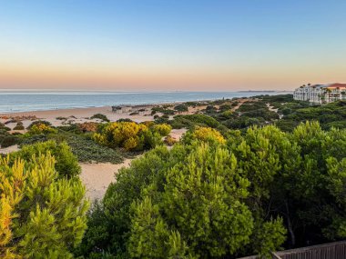 Sancti Petri, Cadiz, İspanya 'daki La Barrosa plajına erişim sağlayan kum tepeleri.