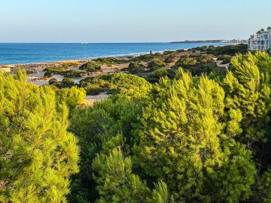Sancti Petri, Cadiz, İspanya 'daki La Barrosa plajına erişim sağlayan kum tepeleri.