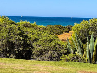 Sancti Petri, Cadiz, İspanya 'daki La Barrosa plajına erişim sağlayan kum tepeleri.