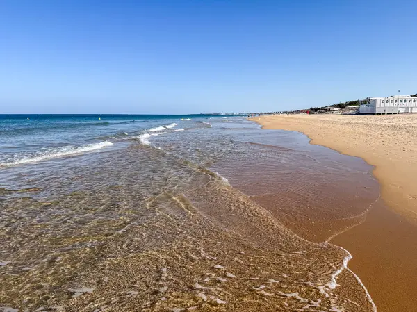 Sancti Petri 'deki La Barrosa plajı, Cadiz, İspanya