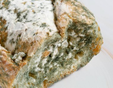 Kesme tahtasındaki küflü ekmeğin yakın plan görüntüsü