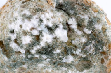 Kesme tahtasındaki küflü ekmeğin yakın plan görüntüsü
