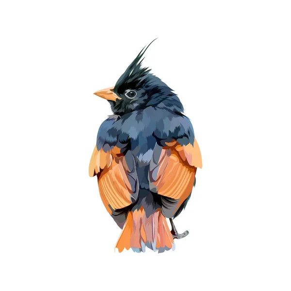 Crested Bunting Bird Vector Illustration — Stock Vector
